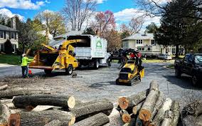 Best Emergency Tree Removal  in Parkland, WA