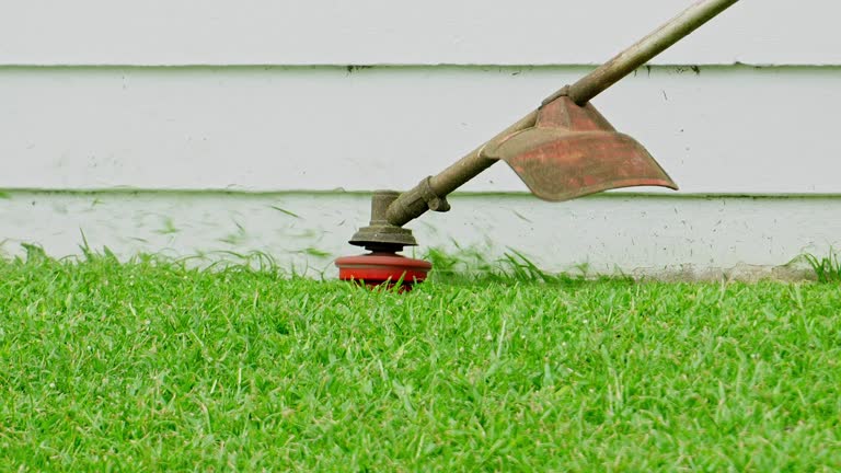 Best Leaf Removal  in Parkland, WA